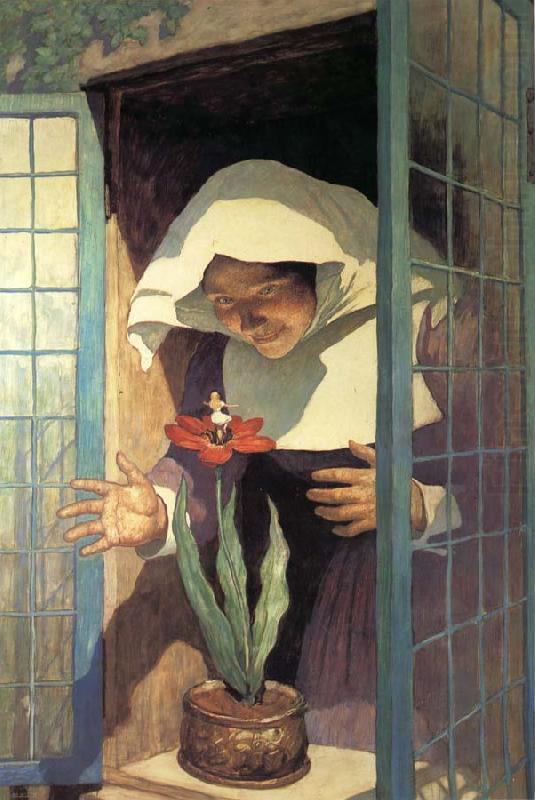 Thumbelisa, NC Wyeth